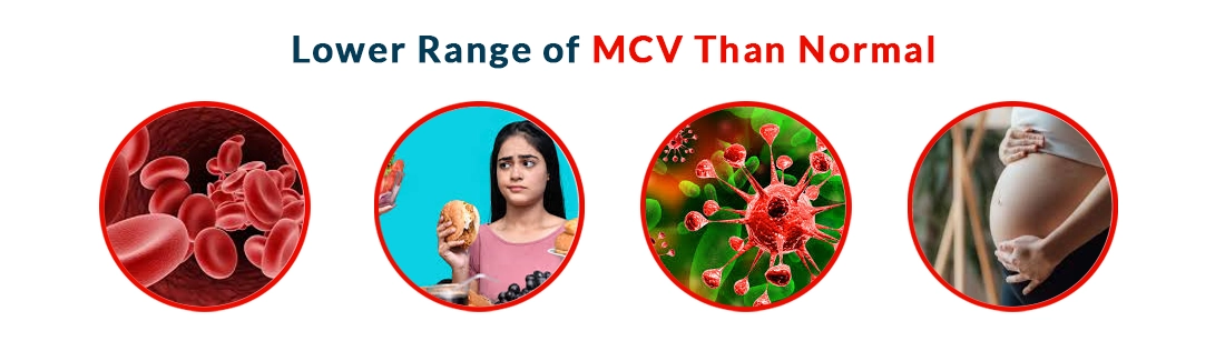 Lower Range of MCV Than Normal